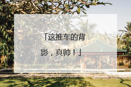 这推车的背影，真帅！