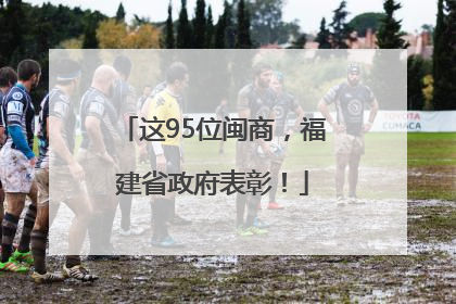 这95位闽商，福建省政府表彰！