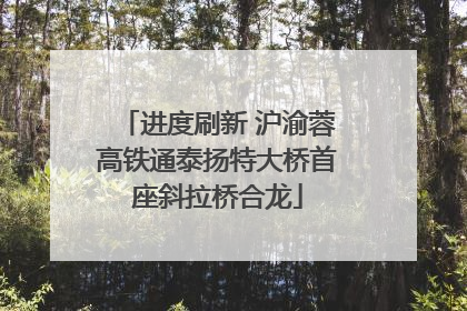 进度刷新 沪渝蓉高铁通泰扬特大桥首座斜拉桥合龙