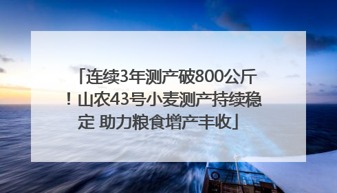 连续3年测产破800公斤！山农43号小麦测产持续稳定 助力粮食增产丰收