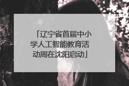 辽宁省首届中小学人工智能教育活动周在沈阳启动