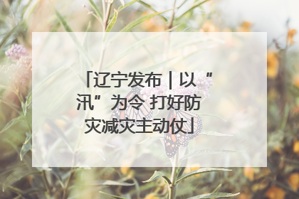 辽宁发布｜以“汛”为令 打好防灾减灾主动仗