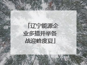 辽宁能源企业多措并举备战迎峰度夏