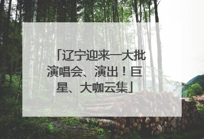 辽宁迎来一大批演唱会、演出！巨星、大咖云集