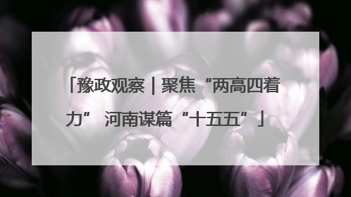 豫政观察｜聚焦“两高四着力” 河南谋篇“十五五”