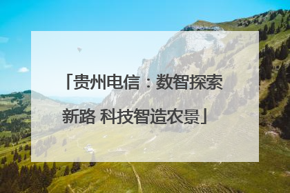 贵州电信：数智探索新路 科技智造农景