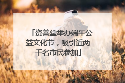 资善堂举办端午公益文化节，吸引近两千名市民参加