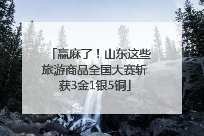 赢麻了！山东这些旅游商品全国大赛斩获3金1银5铜
