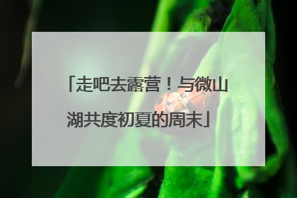 走吧去露营！与微山湖共度初夏的周末