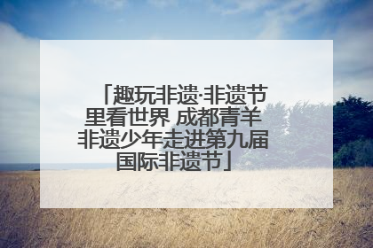 趣玩非遗·非遗节里看世界 成都青羊非遗少年走进第九届国际非遗节