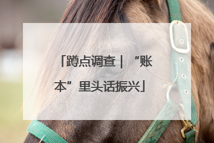 蹲点调查｜“账本”里头话振兴