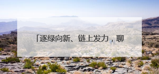 逐绿向新、链上发力，聊城高质量发展“提级换挡”——江北水城“焕新”记