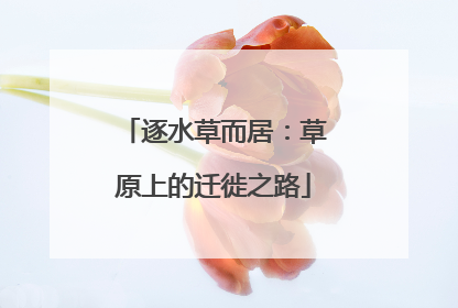 逐水草而居：草原上的迁徙之路
