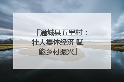 通城县五里村：壮大集体经济 赋能乡村振兴