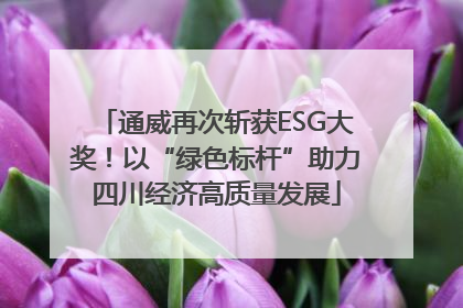 通威再次斩获ESG大奖！以“绿色标杆”助力四川经济高质量发展