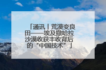 通讯丨荒漠变良田——埃及撒哈拉沙漠收获丰收背后的“中国技术”