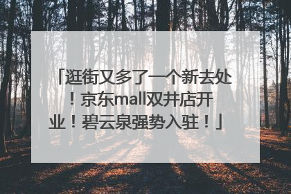 逛街又多了一个新去处！京东mall双井店开业！碧云泉强势入驻！