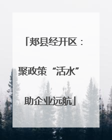 郏县经开区：聚政策“活水” 助企业远航