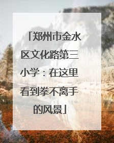郑州市金水区文化路第三小学：在这里看到拳不离手的风景