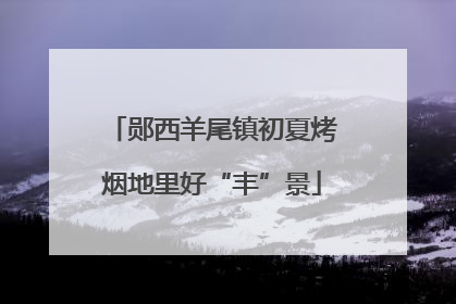 郧西羊尾镇初夏烤烟地里好“丰”景