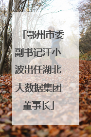 鄂州市委副书记汪小波出任湖北大数据集团董事长