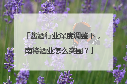 酱酒行业深度调整下，南将酒业怎么突围？