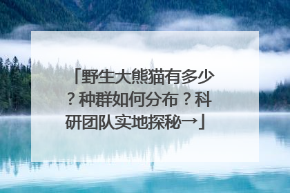 野生大熊猫有多少？种群如何分布？科研团队实地探秘→