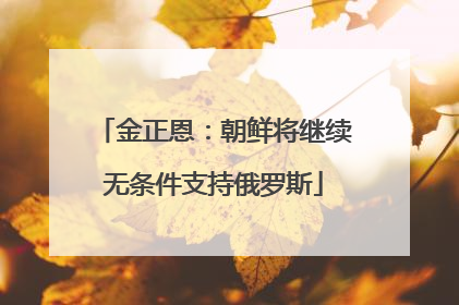 金正恩：朝鲜将继续无条件支持俄罗斯
