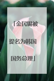 金民锡被提名为韩国国务总理