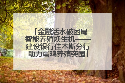 金融活水破困局 智能养殖焕生机——建设银行佳木斯分行助力蛋鸡养殖突围