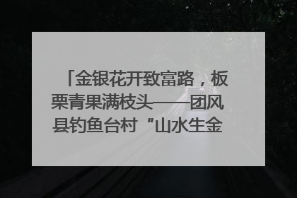 金银花开致富路，板栗青果满枝头——团风县钓鱼台村“山水生金”谱写共富新篇章