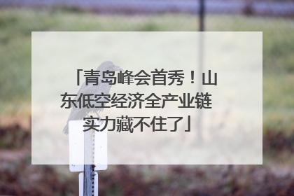 青岛峰会首秀！山东低空经济全产业链实力藏不住了