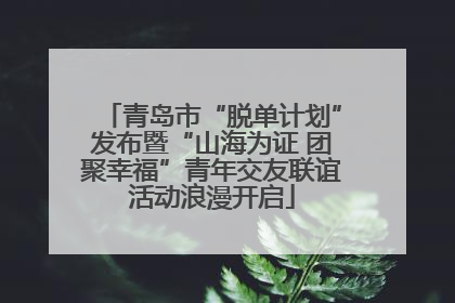青岛市“脱单计划”发布暨“山海为证 团聚幸福”青年交友联谊活动浪漫开启
