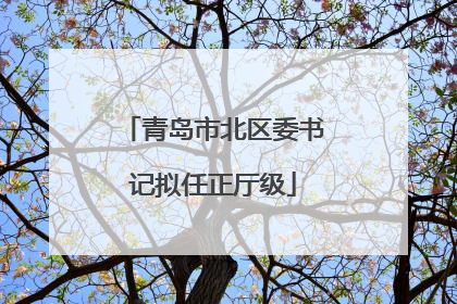 青岛市北区委书记拟任正厅级