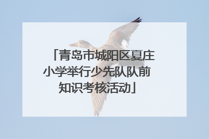 青岛市城阳区夏庄小学举行少先队队前知识考核活动