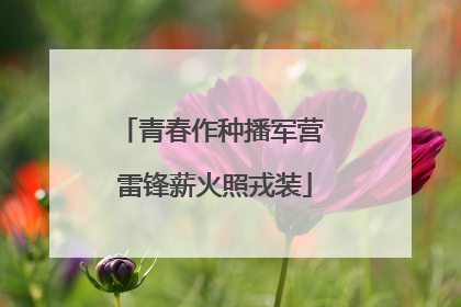 青春作种播军营 雷锋薪火照戎装