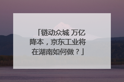 链动众城 万亿降本，京东工业将在湖南如何做？