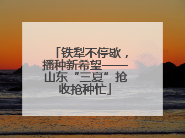 铁犁不停歇，播种新希望——山东“三夏”抢收抢种忙