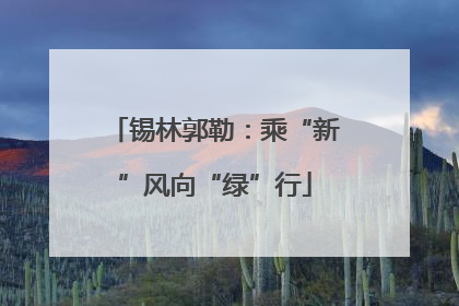 锡林郭勒：乘“新”风向“绿”行