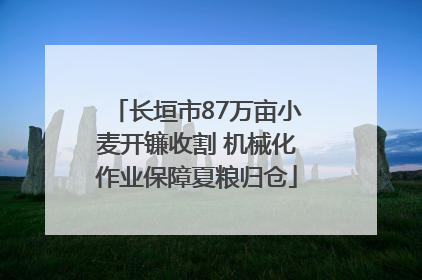 长垣市87万亩小麦开镰收割 机械化作业保障夏粮归仓