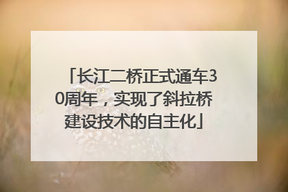 长江二桥正式通车30周年，实现了斜拉桥建设技术的自主化
