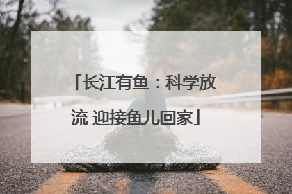 长江有鱼：科学放流 迎接鱼儿回家