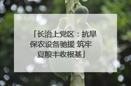 长治上党区：抗旱保农设备驰援 筑牢夏粮丰收根基