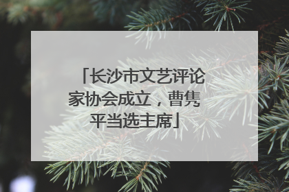 长沙市文艺评论家协会成立，曹隽平当选主席