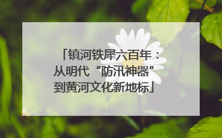 镇河铁犀六百年：从明代“防汛神器”到黄河文化新地标