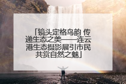 镜头定格鸟韵 传递生态之美——连云港生态摄影展引市民共赏自然之魅