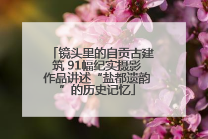 镜头里的自贡古建筑 91幅纪实摄影作品讲述“盐都遗韵”的历史记忆