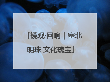 镜观·回响｜塞北明珠 文化瑰宝
