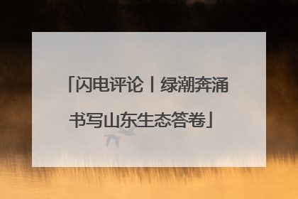 闪电评论丨绿潮奔涌 书写山东生态答卷