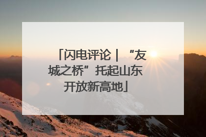 闪电评论｜“友城之桥”托起山东开放新高地